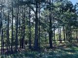 2613 Fm  346 - Photo 3