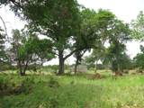 Lot 44 Phase 6 Pr 42107 - Photo 13