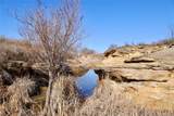 50+/- Acres Fm-103 - Photo 15