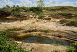 50+/- Acres Fm-103 - Photo 24