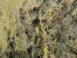 50+/- Acres Fm-103 - Photo 25