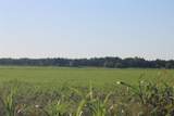 TBD SW 3160 Sw 3160 - Photo 10