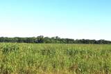 TBD SW 3160 Sw 3160 - Photo 4