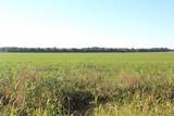 TBD SW 3160 Sw 3160 - Photo 6