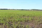 TBD SW 3160 Sw 3160 - Photo 8