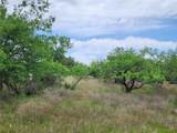 TBD County Road 125 - Photo 31