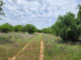 TBD County Road 125 - Photo 8