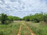 TBD County Road 125 - Photo 9