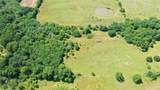 2516 County Road 1017 - Photo 8