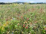 Tract 7 S. Ranch Dr. - Photo 19