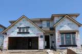 1704 Foxtail Drive - Photo 2