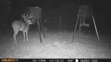 3810 Fm 116 - Photo 4