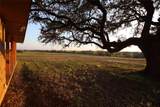 8767 Fm 1602 - Photo 15