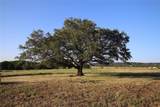 8767 Fm 1602 - Photo 32