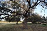 8767 Fm 1602 - Photo 36