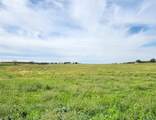 355 County Road 252 - Photo 1