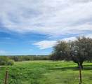 355 County Road 252 - Photo 7