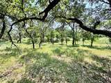 848 Oak Point Drive - Photo 9