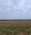 TBD Hwy 56 Street - Photo 5