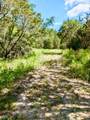 3707 Bob White - Photo 5