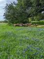 3707 Bob White - Photo 6