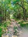 3707 Bob White - Photo 7