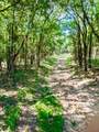 3707 Bob White - Photo 8