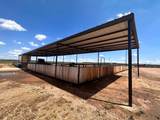 1089 Tennyson Road - Photo 36
