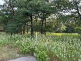 3.760 acres Boyd Road - Photo 2
