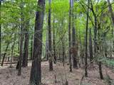 0 County Line Road - Photo 19
