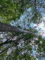 0 County Line Road - Photo 3