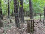 0 County Line Road - Photo 4