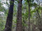 0 County Line Road - Photo 6