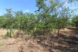TBD Lot 6 Fm 2860 - Photo 8