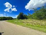 Lots 47 & 79 Bluffview Estates Road - Photo 12