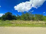Lots 47 & 79 Bluffview Estates Road - Photo 13