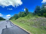 Lots 47 & 79 Bluffview Estates Road - Photo 15