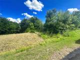 Lots 47 & 79 Bluffview Estates Road - Photo 5