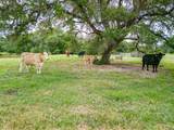 0000 Tbd 552.77 Ac - Photo 32