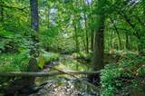 66 Aged Acacia Trail - Photo 11