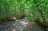 66 Aged Acacia Trail - Photo 12