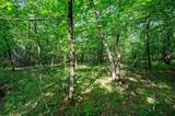 66 Aged Acacia Trail - Photo 8