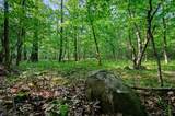 66 Aged Acacia Trail - Photo 9