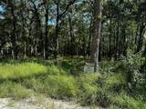 924 Woodland Drive - Photo 5