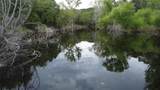 4046 Fm 2481 - Photo 39