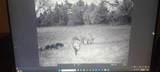 3285 Roland Road - Photo 7