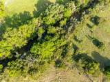TBD County Road 186 - Photo 14