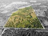 TBD County Road 186 - Photo 26