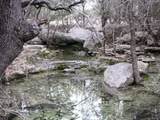 TBD County Road 186 - Photo 4