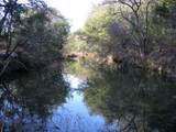 TBD County Road 186 - Photo 5
